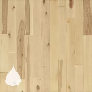 Birch Hardwood